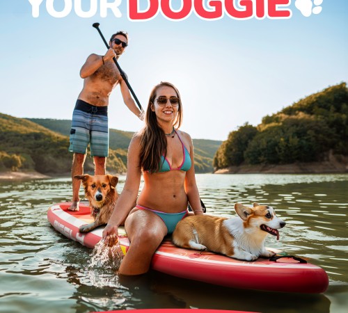 BIGFLY TROPICAL ORANGE SUP 